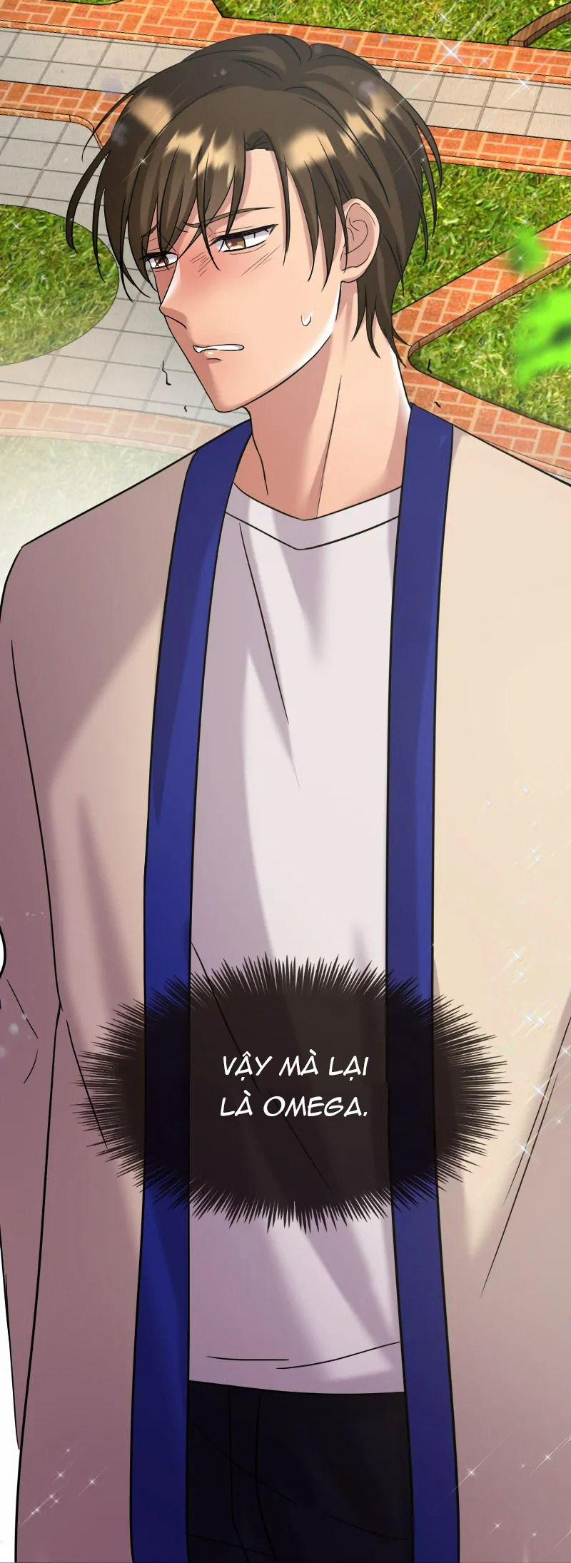 Kết Đôi Cùng Alpha Tàn Bạo 1 trang 12