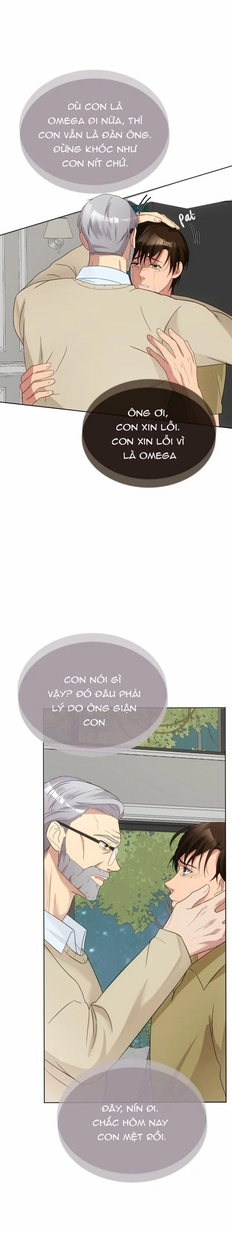 Kết Đôi Cùng Alpha Tàn Bạo 10 trang 12