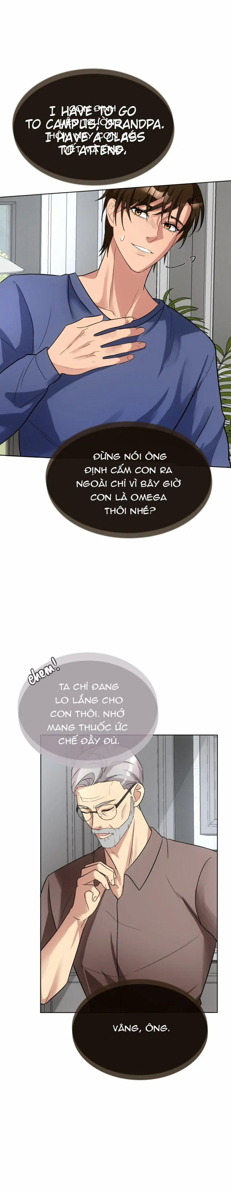 Kết Đôi Cùng Alpha Tàn Bạo 11 trang 5