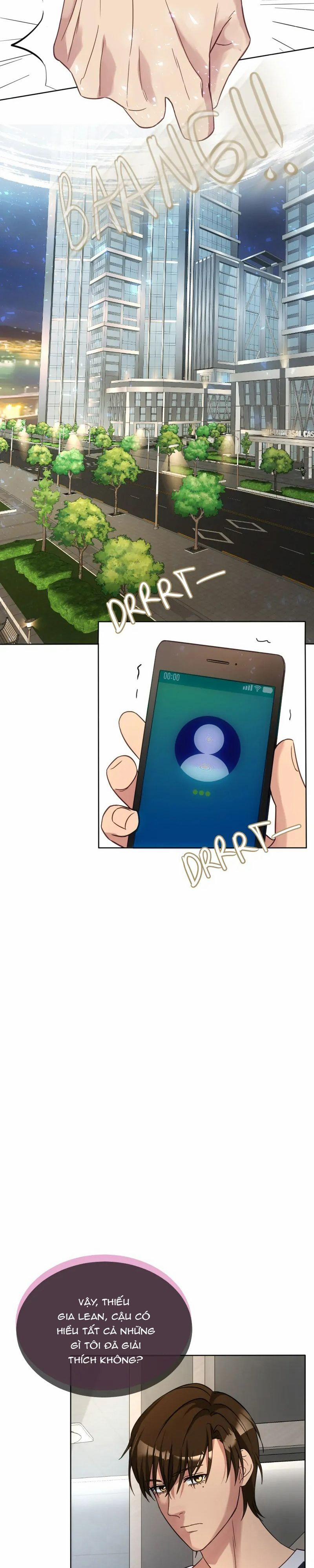 Kết Đôi Cùng Alpha Tàn Bạo 13 trang 13