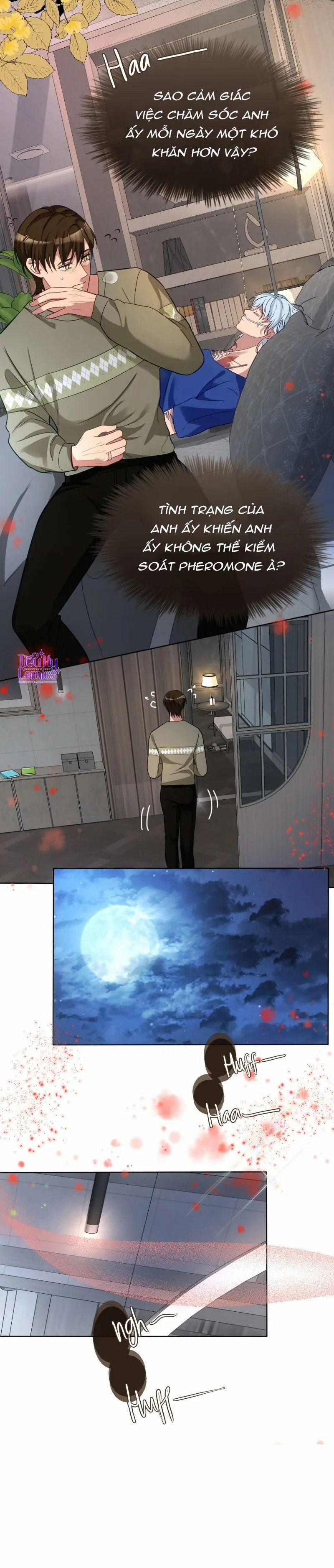 Kết Đôi Cùng Alpha Tàn Bạo 13 trang 20