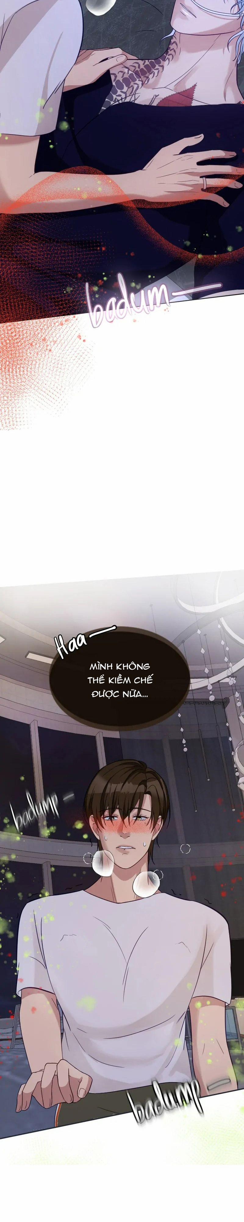 Kết Đôi Cùng Alpha Tàn Bạo 13 trang 24