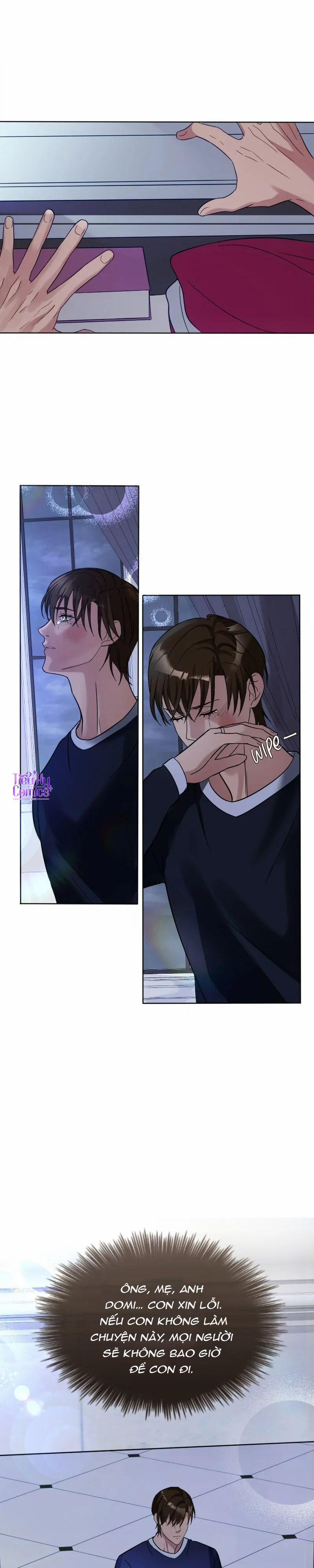 Kết Đôi Cùng Alpha Tàn Bạo 13 trang 5