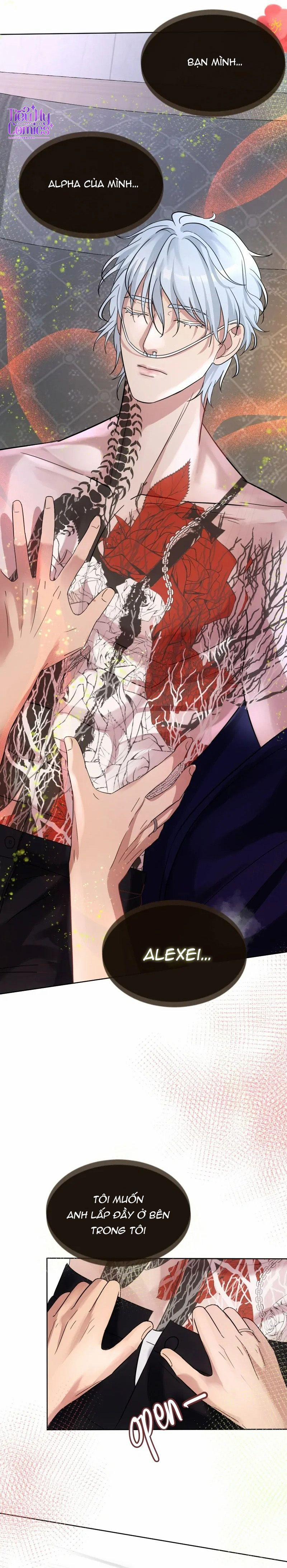 Kết Đôi Cùng Alpha Tàn Bạo 14 trang 6