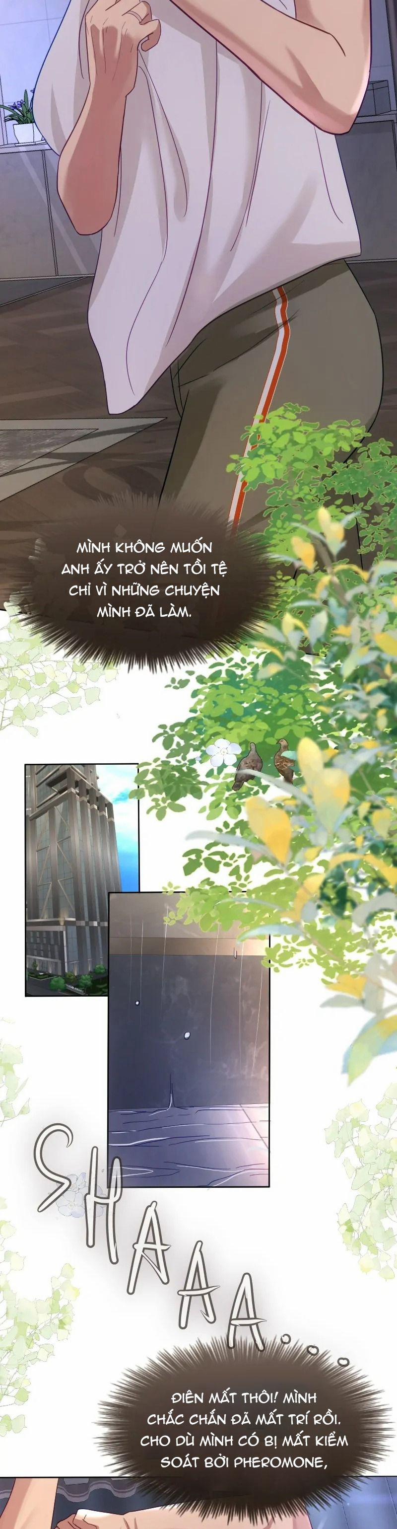 Kết Đôi Cùng Alpha Tàn Bạo 15 trang 7