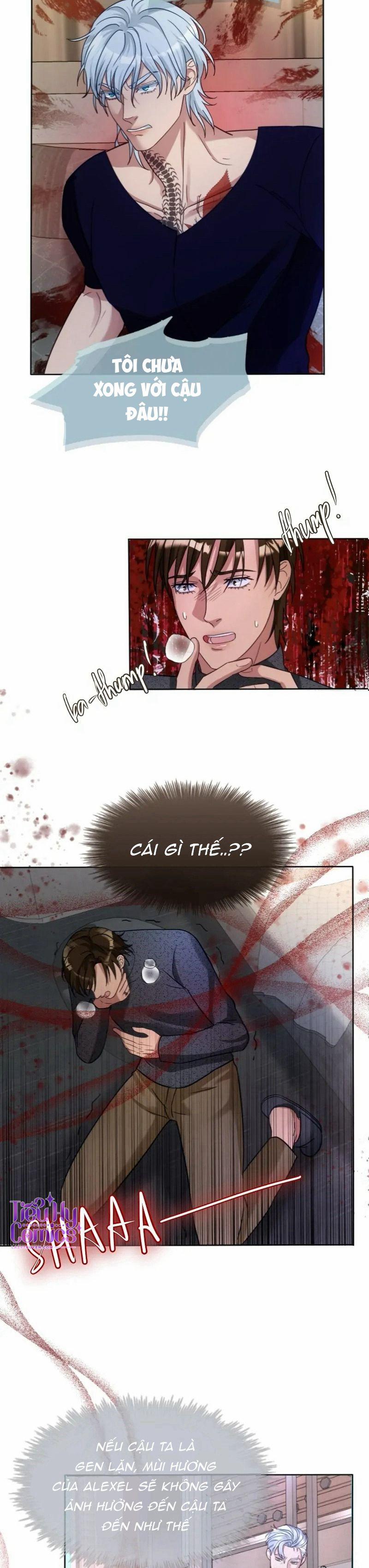 Kết Đôi Cùng Alpha Tàn Bạo 16 trang 11