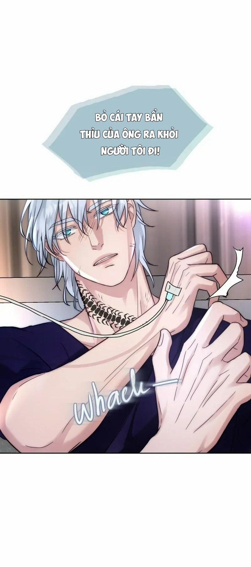 Kết Đôi Cùng Alpha Tàn Bạo 17 trang 5