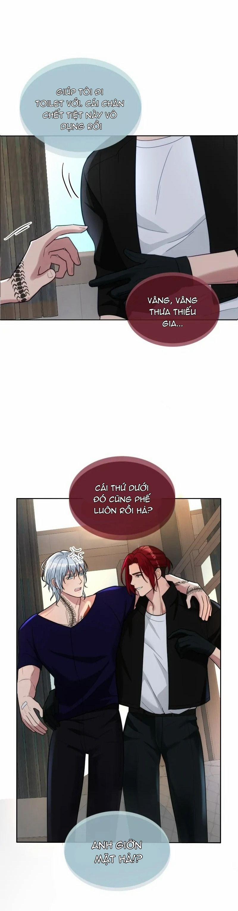 Kết Đôi Cùng Alpha Tàn Bạo 19 trang 24