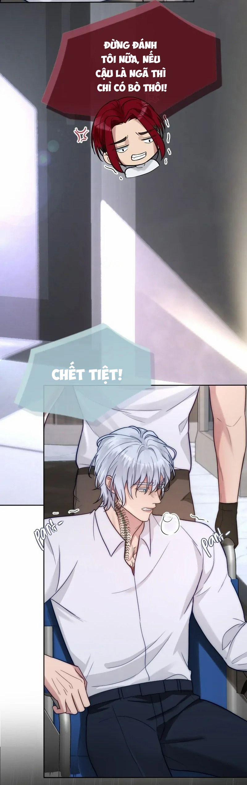 Kết Đôi Cùng Alpha Tàn Bạo 21 trang 7