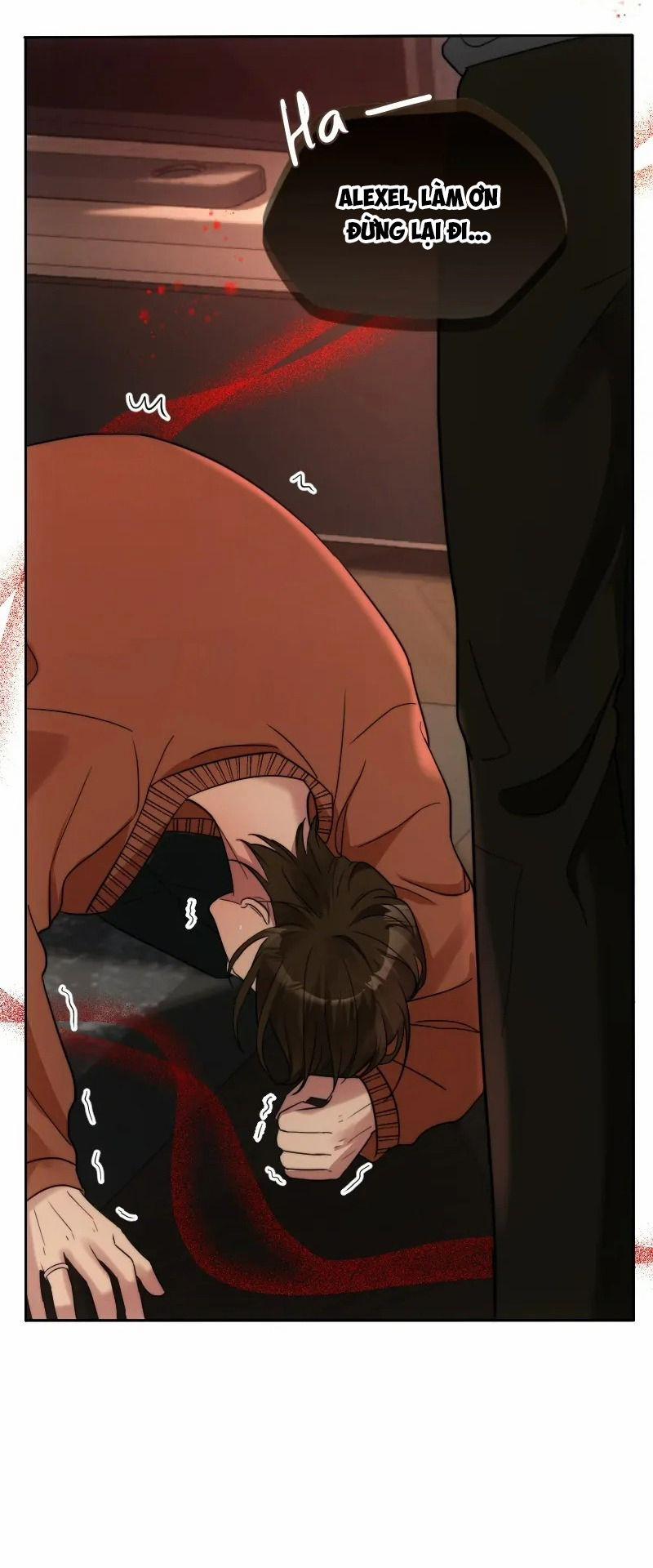 Kết Đôi Cùng Alpha Tàn Bạo 23 trang 12