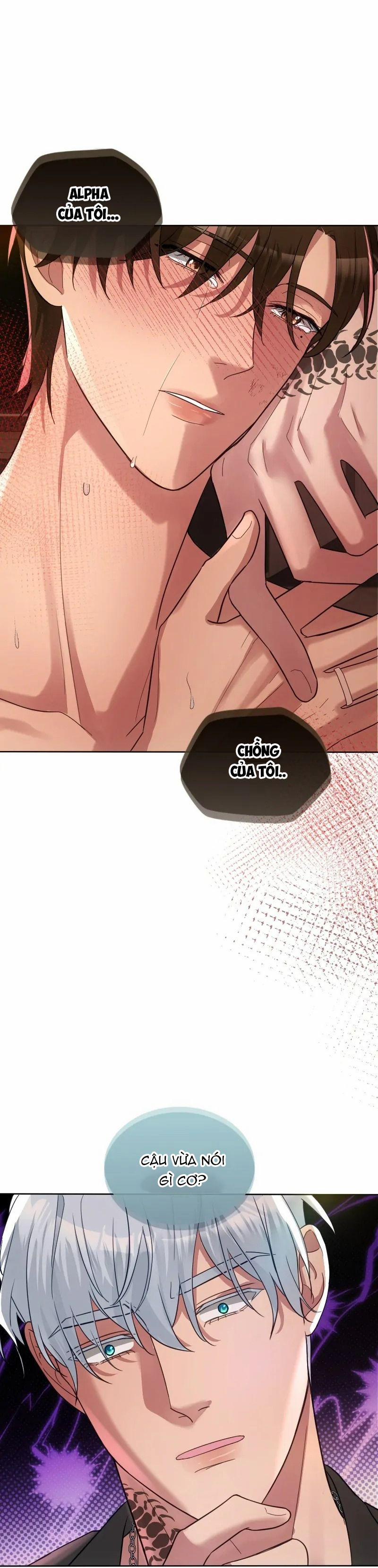 Kết Đôi Cùng Alpha Tàn Bạo 23 trang 29