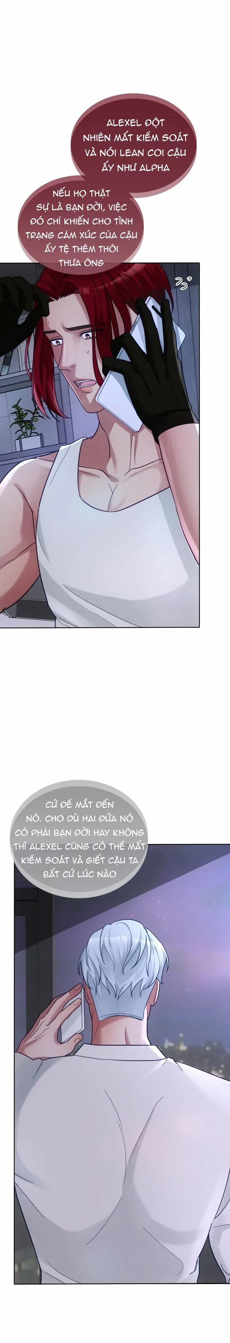 Kết Đôi Cùng Alpha Tàn Bạo 24 trang 11