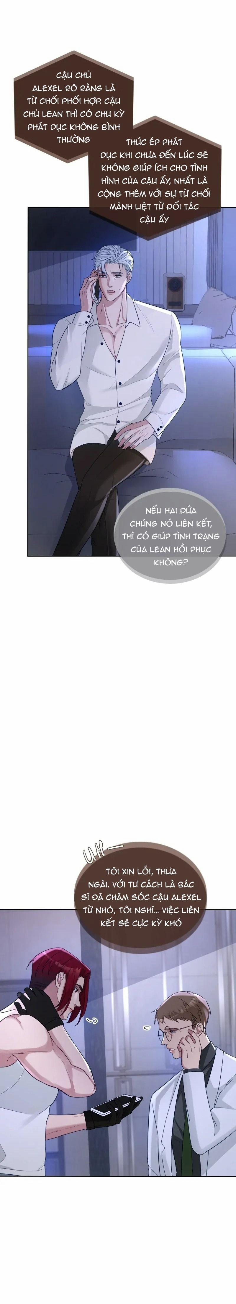 Kết Đôi Cùng Alpha Tàn Bạo 24 trang 15