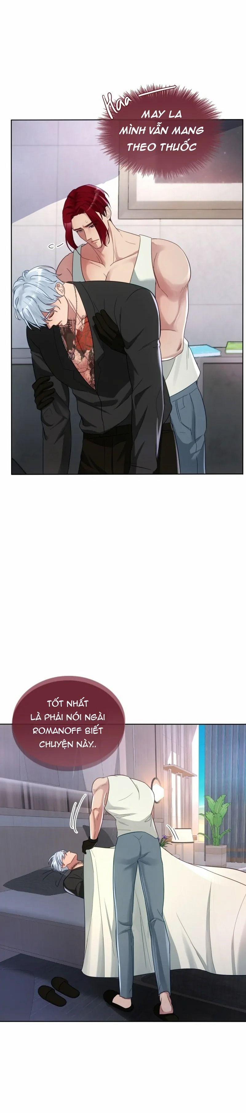 Kết Đôi Cùng Alpha Tàn Bạo 24 trang 7