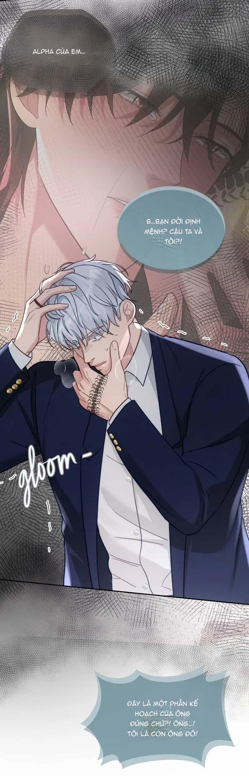 Kết Đôi Cùng Alpha Tàn Bạo 26 trang 21