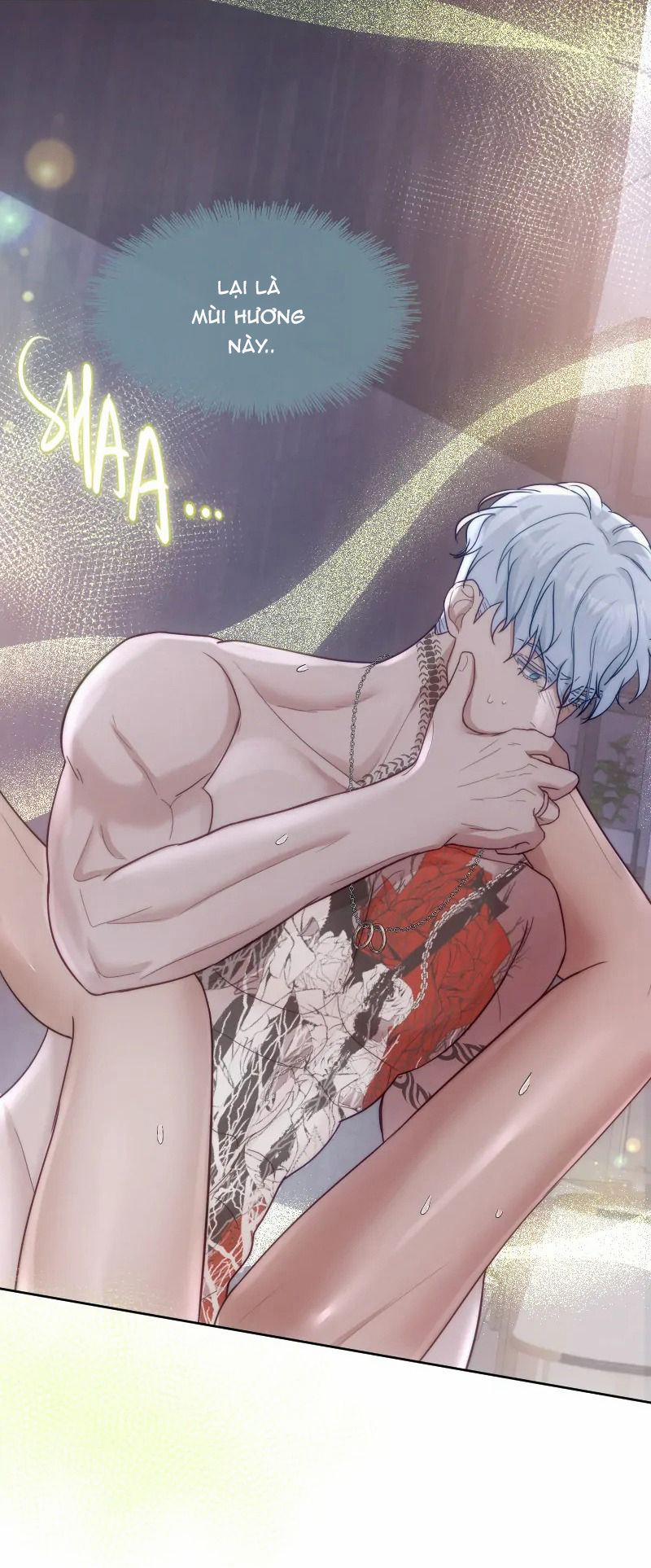 Kết Đôi Cùng Alpha Tàn Bạo 27 trang 4