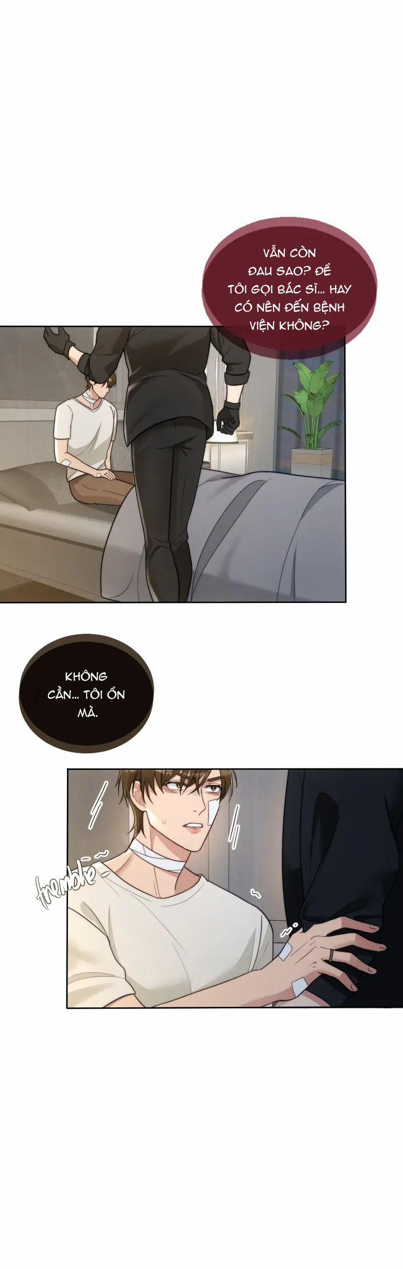 Kết Đôi Cùng Alpha Tàn Bạo 28 trang 5