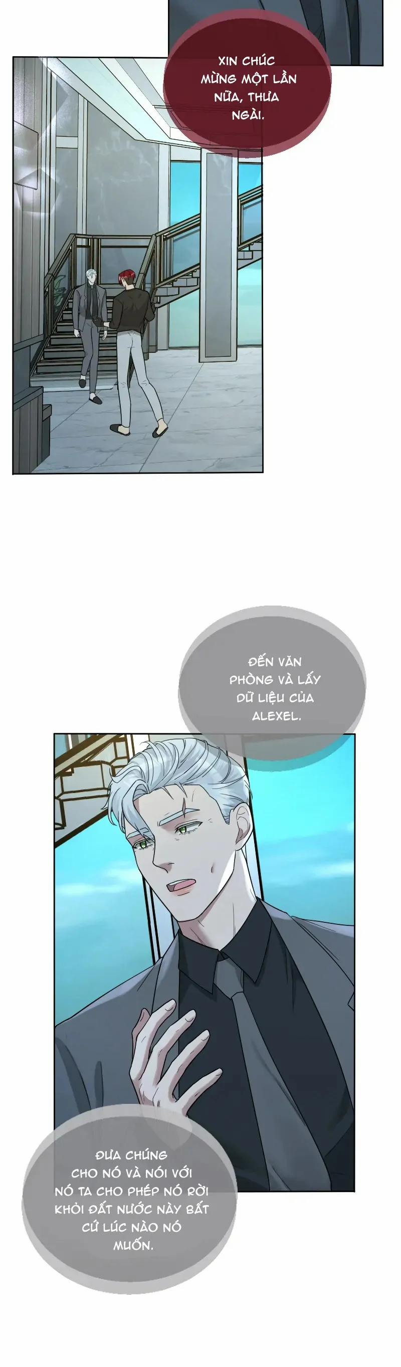 Kết Đôi Cùng Alpha Tàn Bạo 31 trang 7