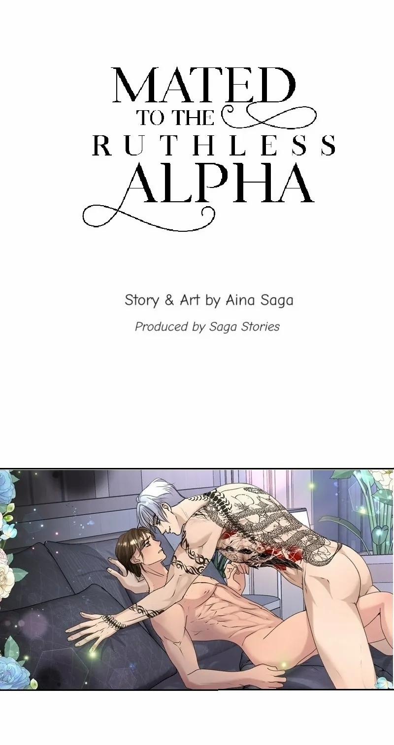 Kết Đôi Cùng Alpha Tàn Bạo 32 trang 34