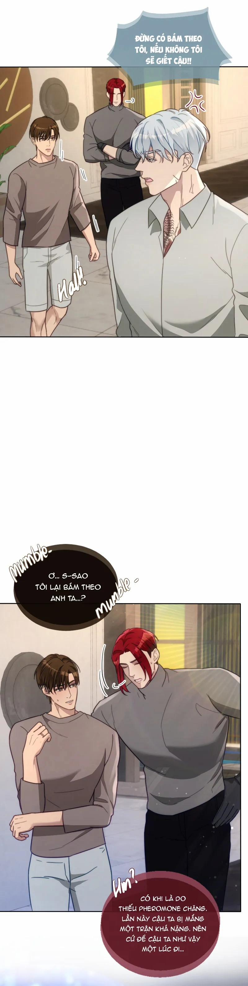 Kết Đôi Cùng Alpha Tàn Bạo 33 trang 7