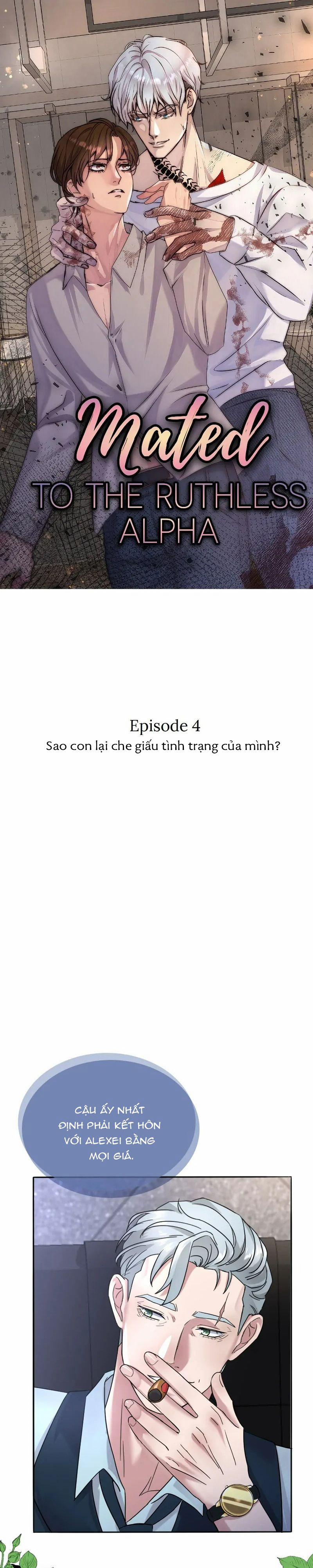 Kết Đôi Cùng Alpha Tàn Bạo 4 trang 0