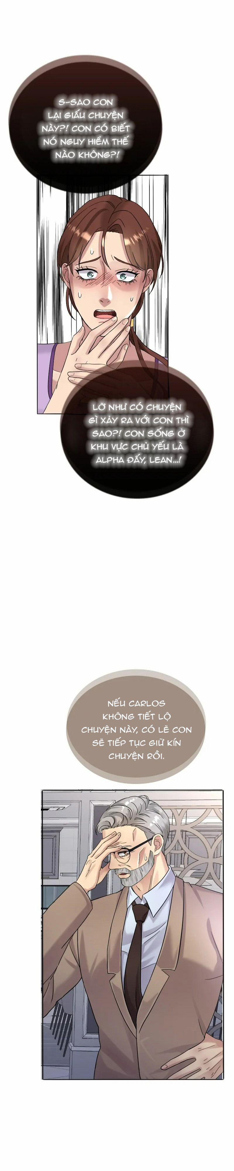 Kết Đôi Cùng Alpha Tàn Bạo 4 trang 6