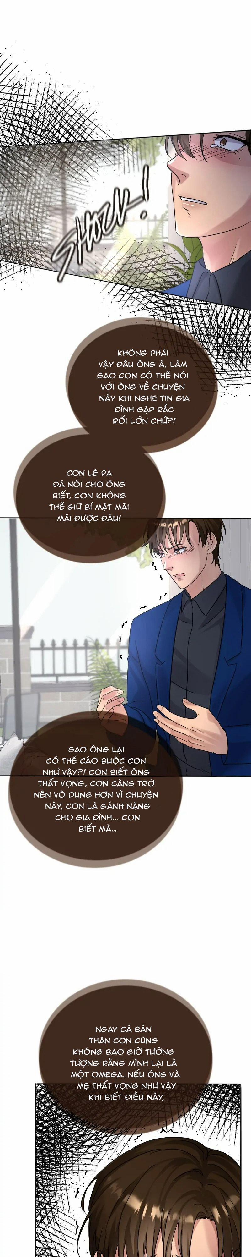 Kết Đôi Cùng Alpha Tàn Bạo 4 trang 7