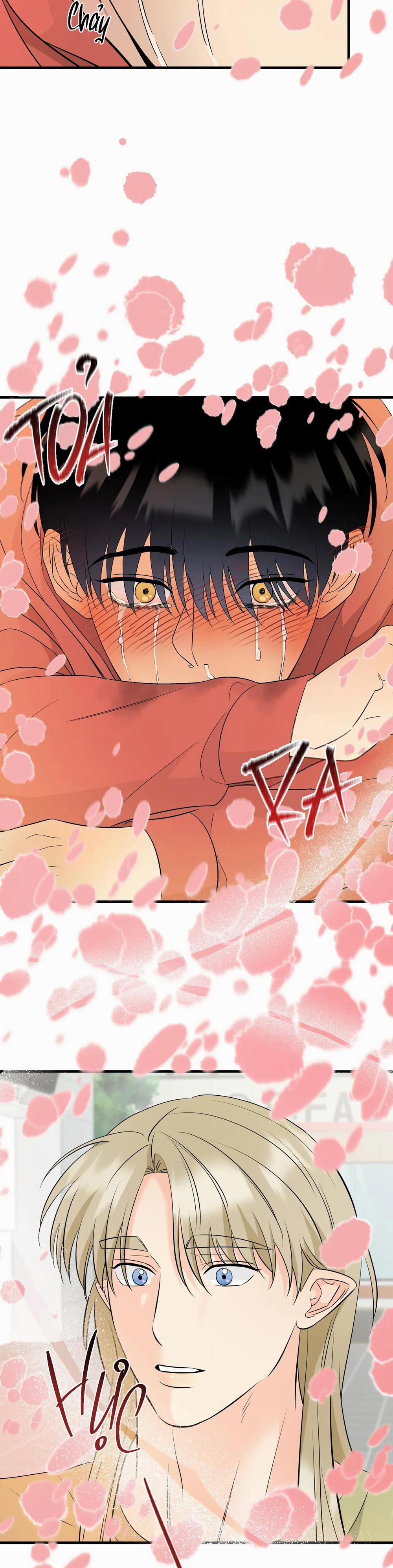 Kết Đôi Với Chàng Tiên 4 trang 11