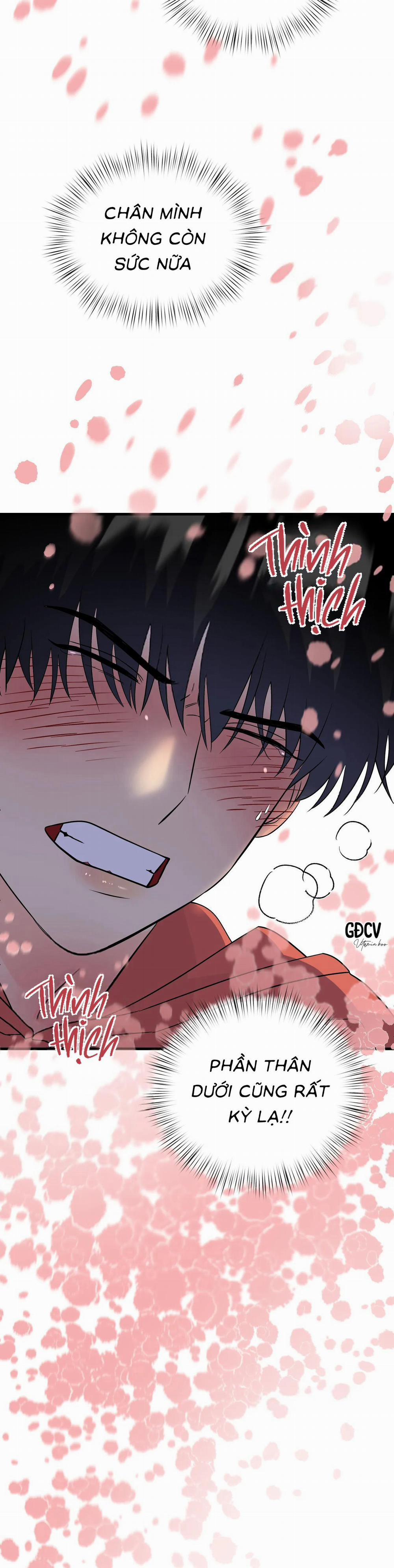 Kết Đôi Với Chàng Tiên 4 trang 5