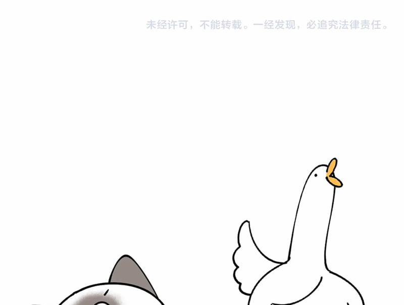 Kết Hôn Chuyện Nhỏ Này 66 trang 71