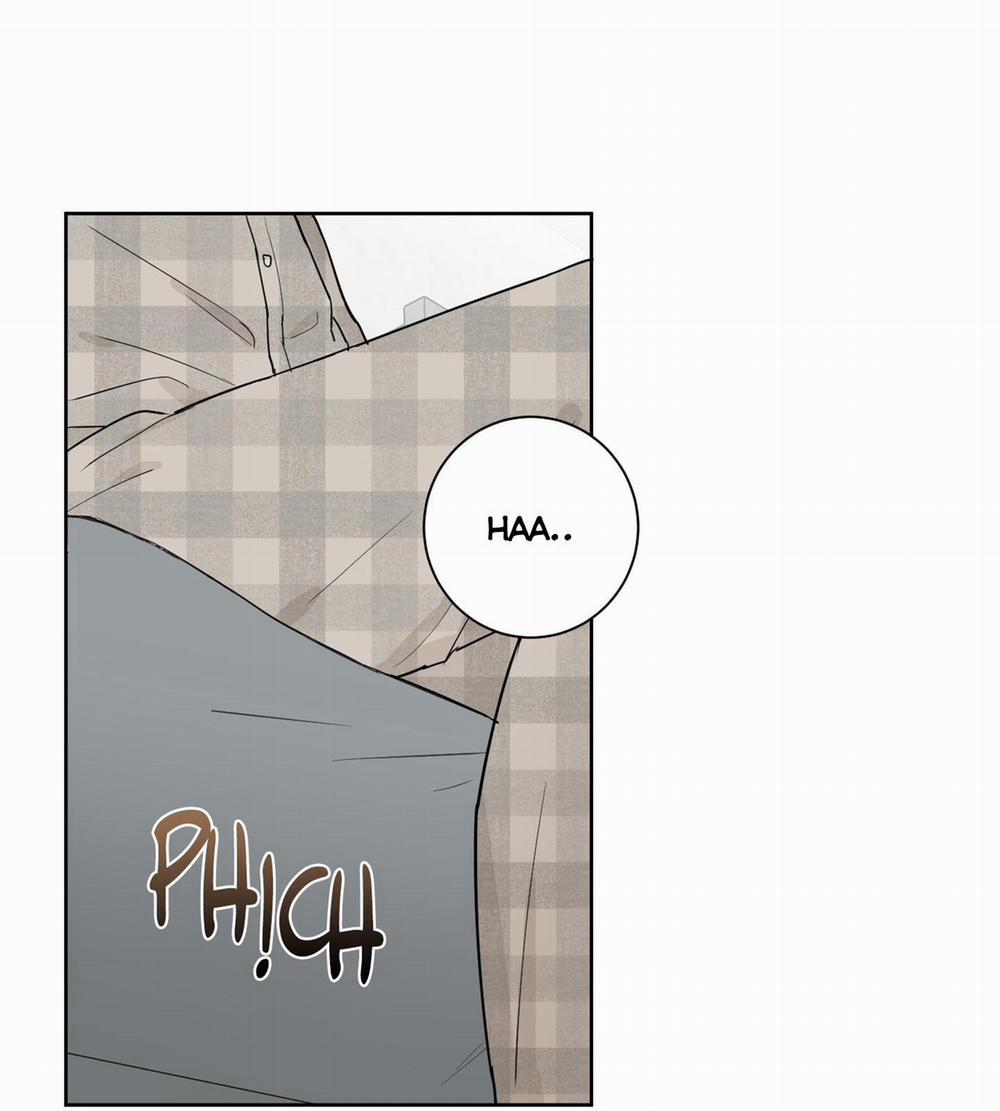 Kết Hôn Là Một Lựa Chọn 1 trang 12