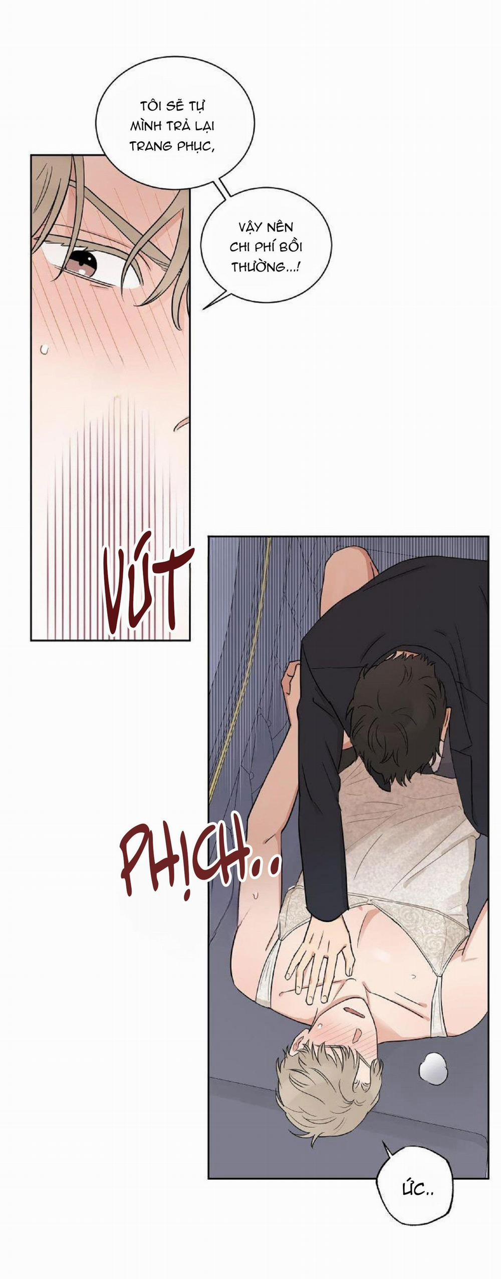 Kết Hôn Là Một Lựa Chọn 6 trang 10