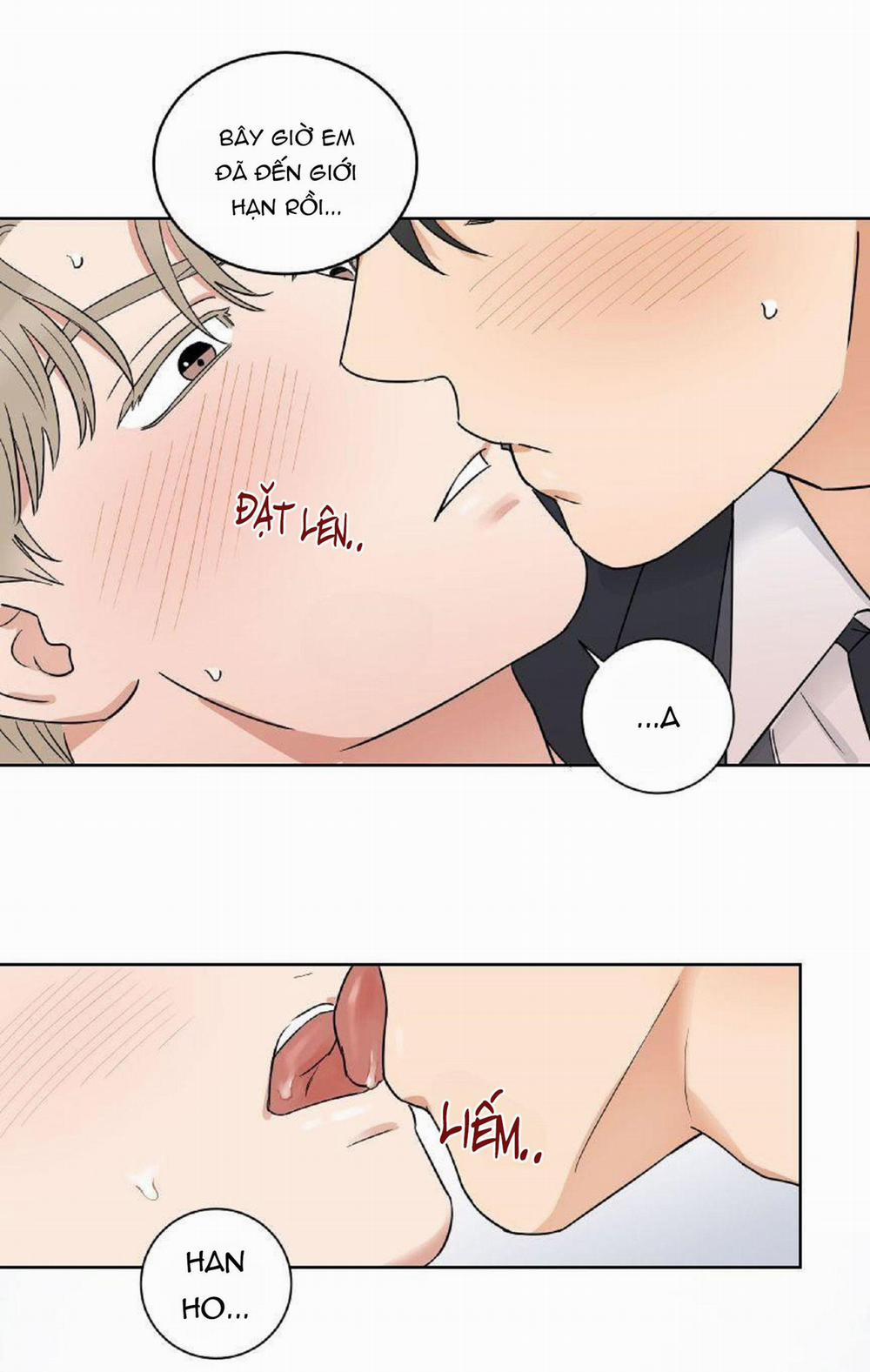 Kết Hôn Là Một Lựa Chọn 6 trang 19