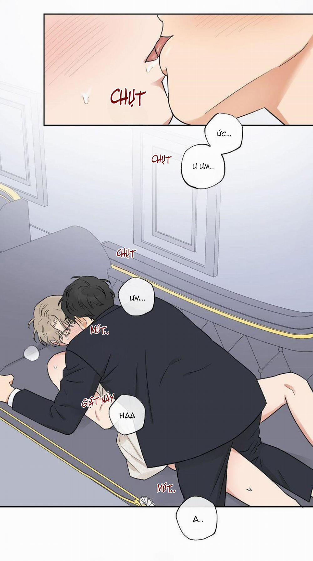 Kết Hôn Là Một Lựa Chọn 6 trang 20