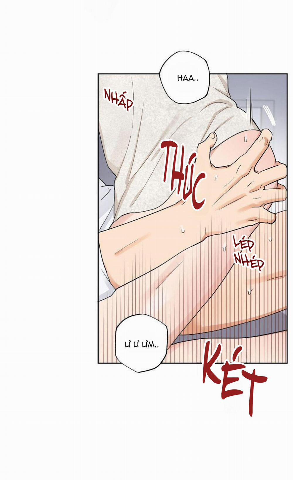 Kết Hôn Là Một Lựa Chọn 6 trang 24