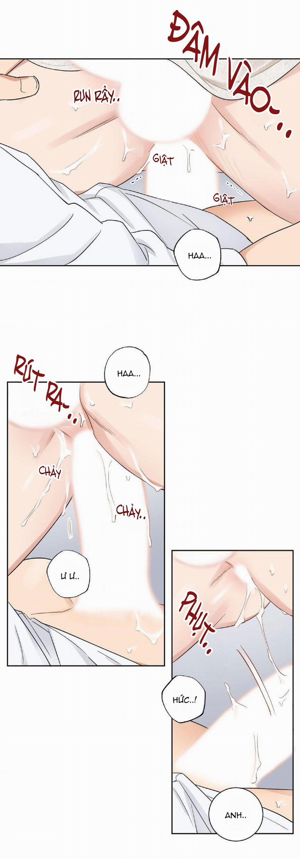 Kết Hôn Là Một Lựa Chọn 6 trang 28