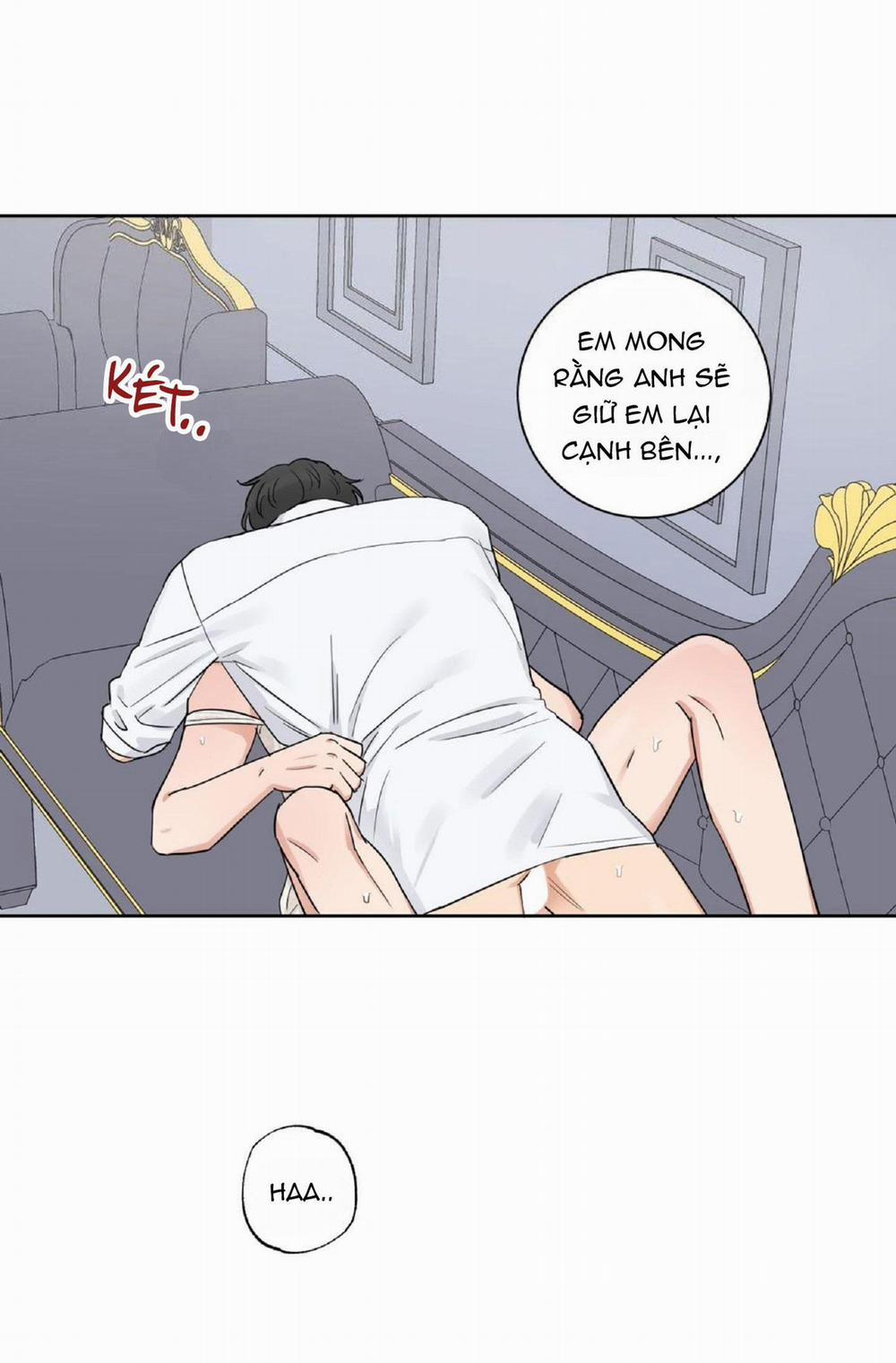 Kết Hôn Là Một Lựa Chọn 6 trang 31