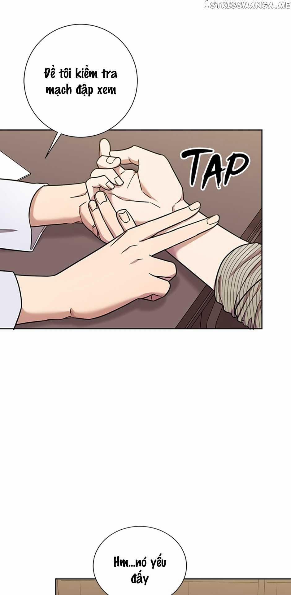 Kết Hôn Ư? Không, Cảm Ơn! 20.2 trang 15