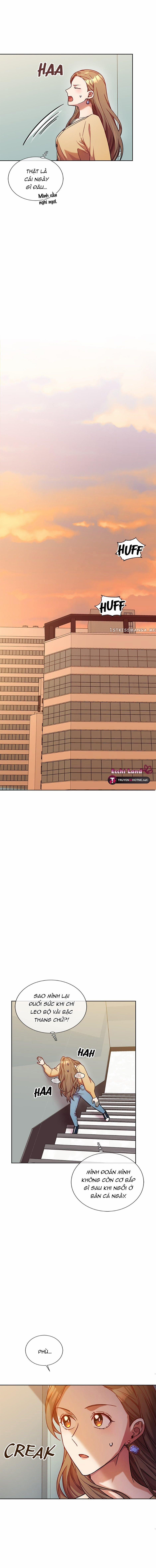 Kết Hôn Ư? Không, Cảm Ơn! 8.1 trang 5