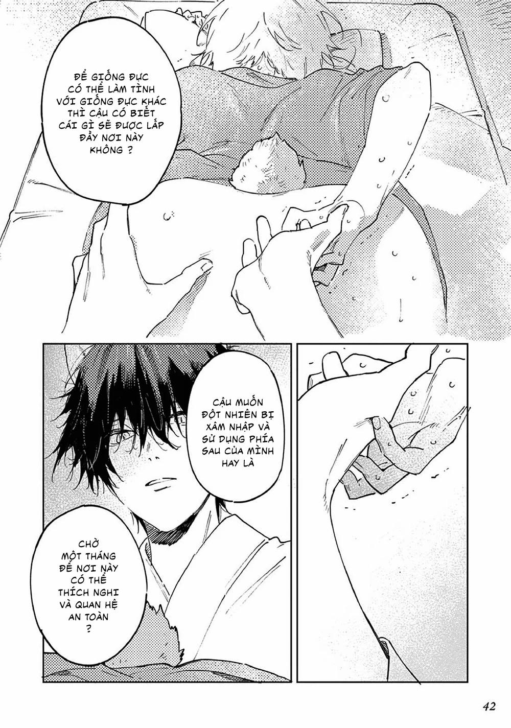 Kết Hôn Với Chàng Sói 1.5 trang 13