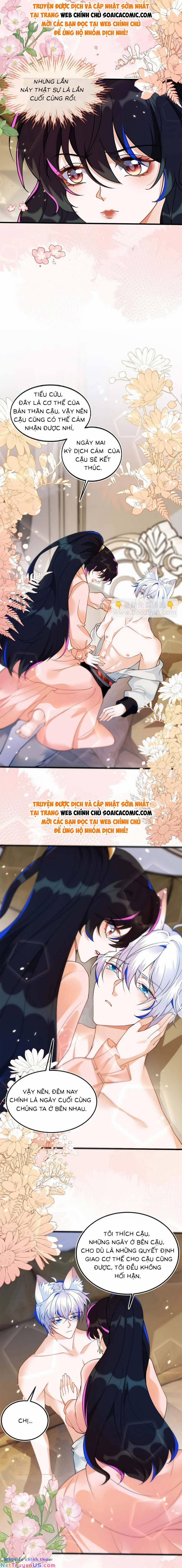 Kết Hôn Với Người Quyền Lực Nhất Hành Tinh 12 trang 1