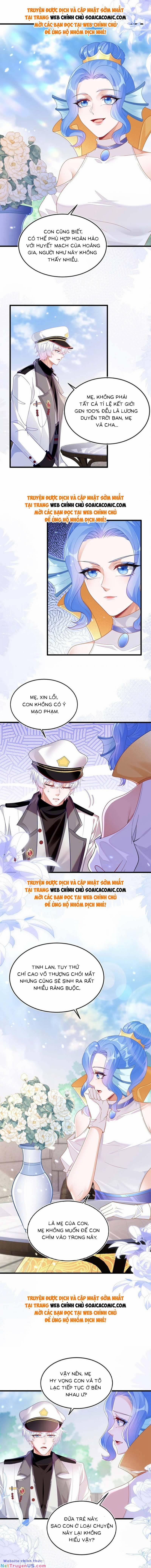 Kết Hôn Với Người Quyền Lực Nhất Hành Tinh 13 trang 1