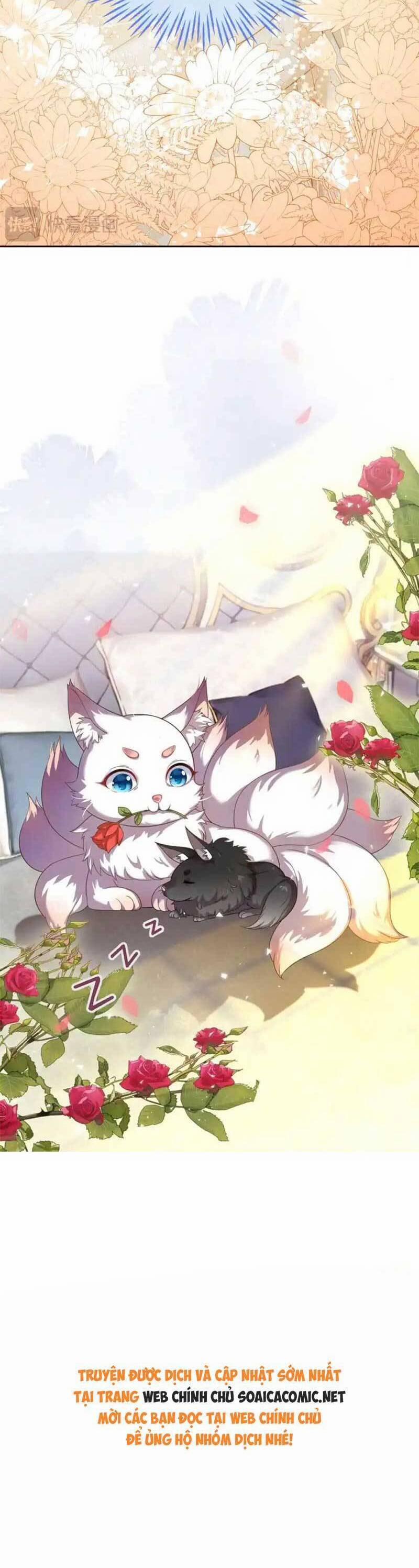 Kết Hôn Với Người Quyền Lực Nhất Hành Tinh 27 trang 23