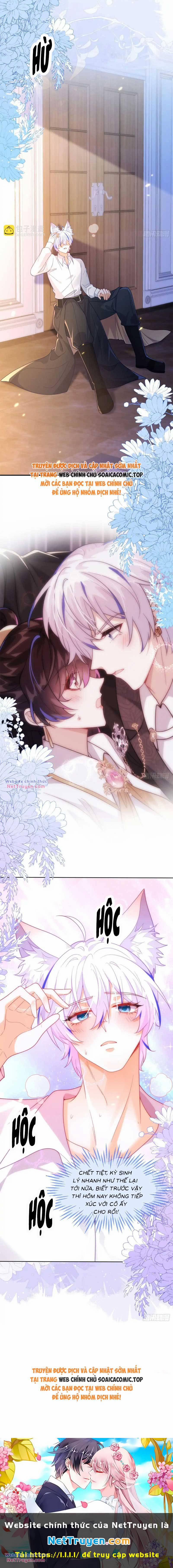 Kết Hôn Với Người Quyền Lực Nhất Hành Tinh 47 trang 13