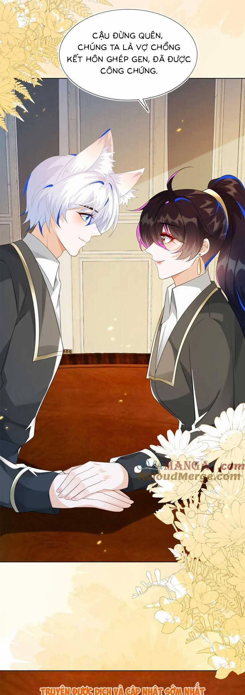 Kết Hôn Với Người Quyền Lực Nhất Hành Tinh 50 trang 7