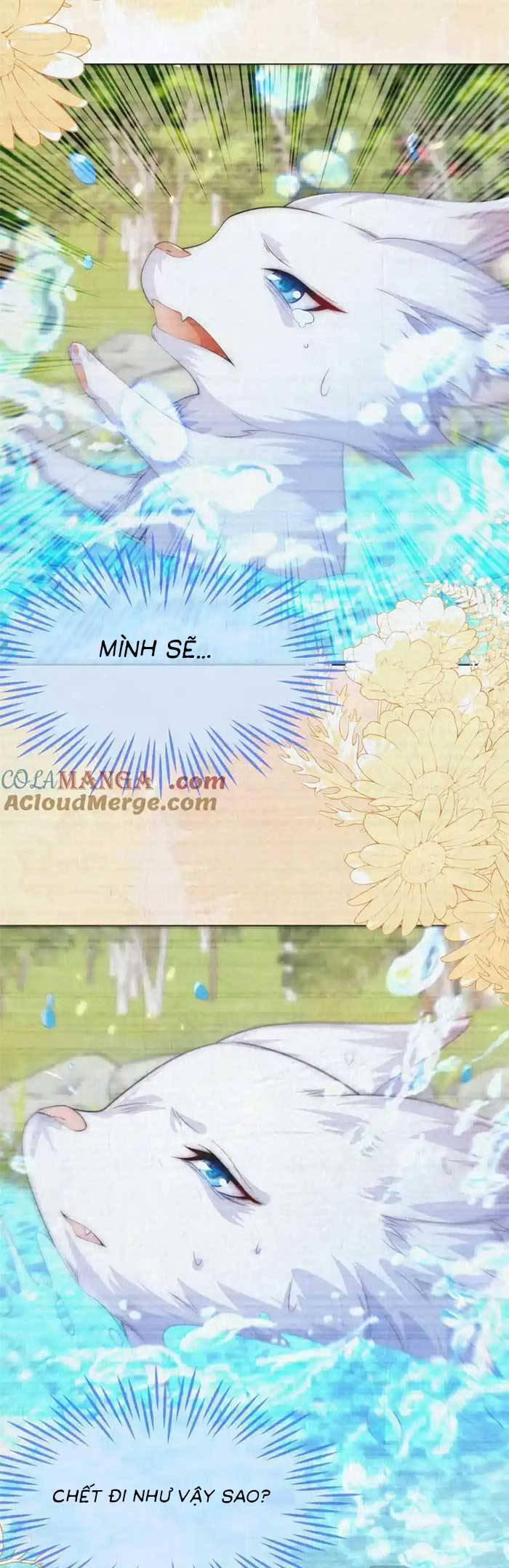 Kết Hôn Với Người Quyền Lực Nhất Hành Tinh 55 trang 29