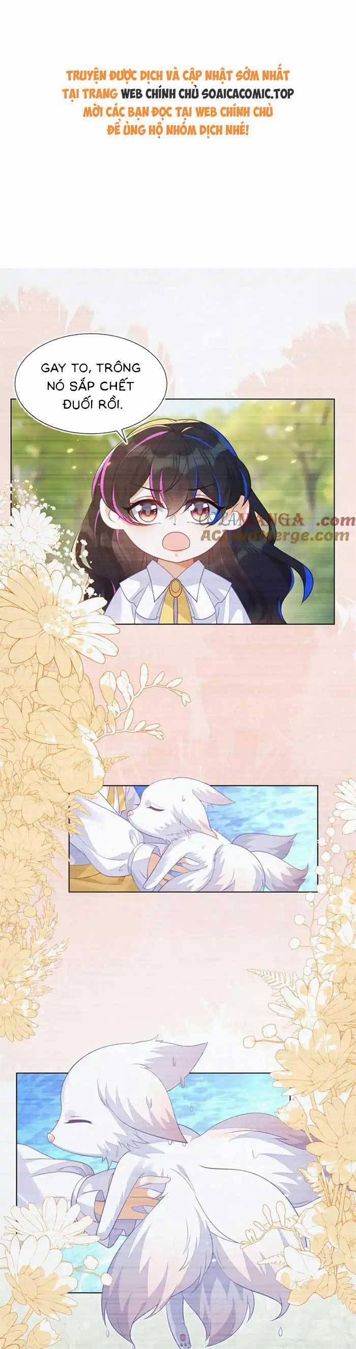 Kết Hôn Với Người Quyền Lực Nhất Hành Tinh 56 trang 0