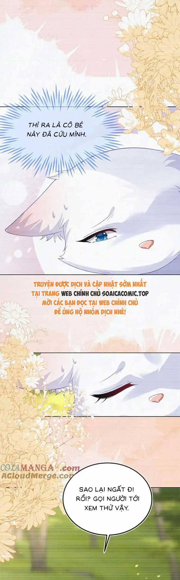 Kết Hôn Với Người Quyền Lực Nhất Hành Tinh 56 trang 3