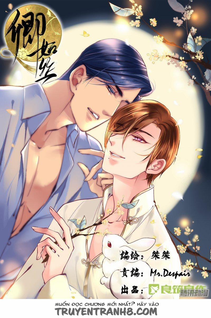 Khanh Như Tơ 12 trang 0