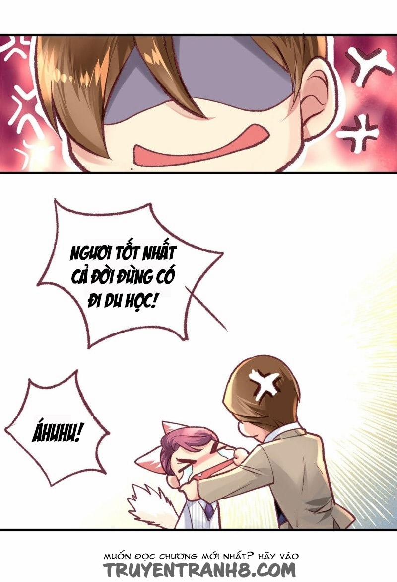 Khanh Như Tơ 17 trang 12